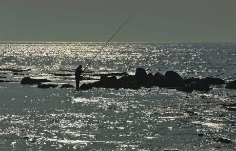 התחזית היומית של איילו ל 31/07/2019 – 30/07/2019 (WEATHER REPORT)