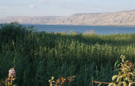 דור: “חופים לדיג וקמפינג בכינרת?”