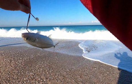 אלון פסטרנק: “פתיחת 2022 בבוקר קפוא שהניבה מספר דגים בג’יג מהחוף”