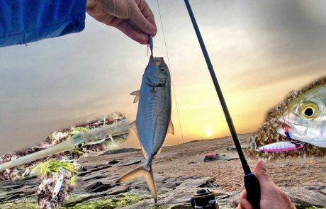 Shraga Milon: “דיג אולטרה לייט עם אקשן 🐟 ותפיסה מעניינת בבוקר שרבי”