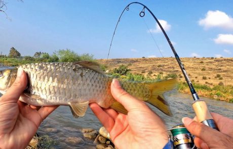 Shraga Milon: “פתיחת עונת הדיג בירדן ההררי 2021 עם חכה חדשה ואקשן 🐟חג שמח ושקט🙏🏼”