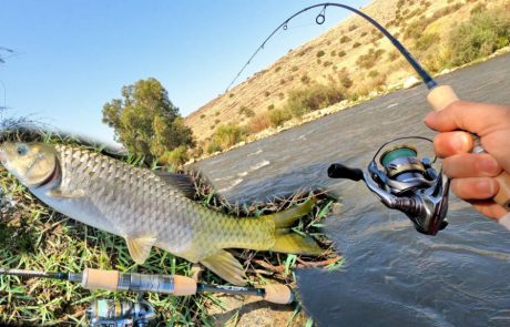 Shraga milon: “חלק 2 של יום הדיג, הירדן ההררי 🐟”