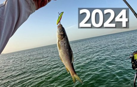 Shraga Milon: “פתיחת עונת הדיג בכנרת 2024 🐟, עדיין זה לא זה, אבל יש ✔”