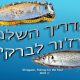 Shraga Milon: “המדריך השלם שלי לז’רזו’ר לברקים 🐟 ℹ.”