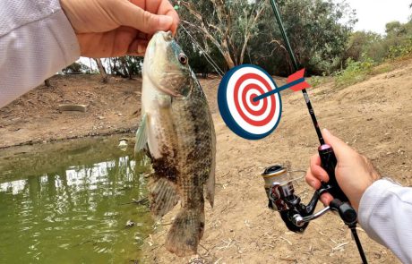 Shraga Milon: “סשן דיג XUL מס’ 3 ל 2023 מהנה באגם הנקיק 🎣”