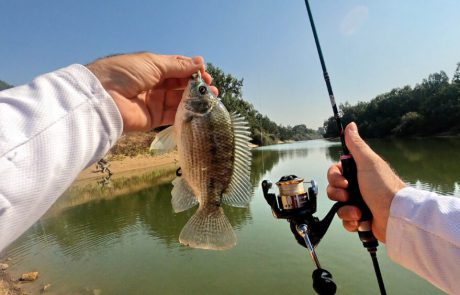 Shraga milon: “דיג בז’רז’ור Extra Ultralight (XUL) באגם הנקיק בראשון 🎣”