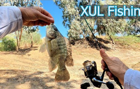 Shraga Milon: “סשן דיג XUL מס’ 2 ל 2023 מוצלח באגם הנקיק 🎣”