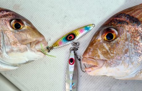 Shraga milon: “סלו ג’יג מפתיע ומהנה בסירה 🐟🎣”